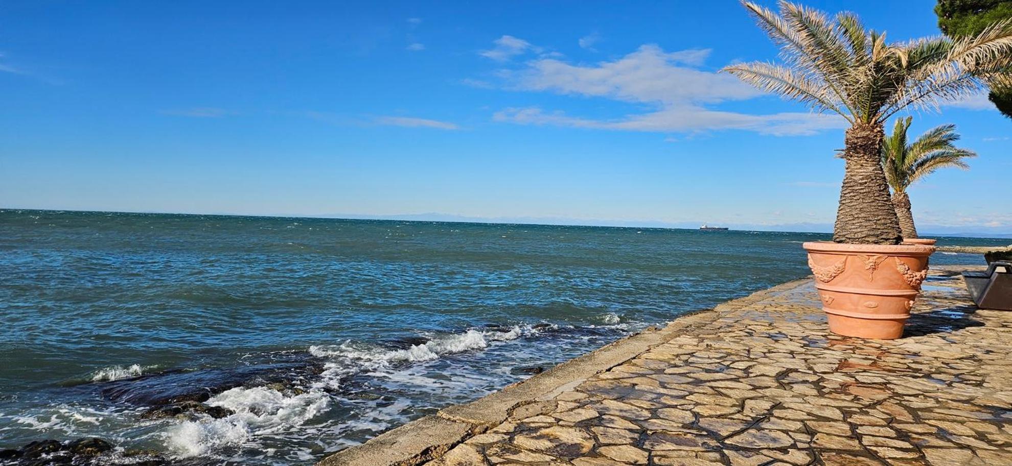 Sea View Apartment Renzzo Strunjan Luaran gambar
