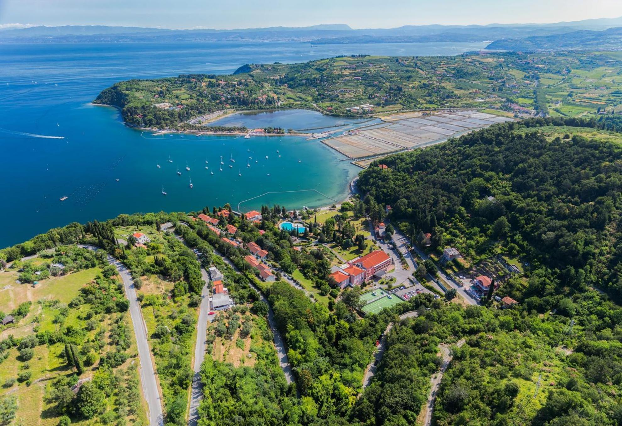 Sea View Apartment Renzzo Strunjan Luaran gambar